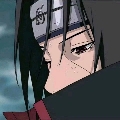 露语wink