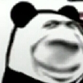 当红大主播