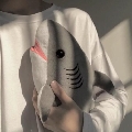 秦浅i