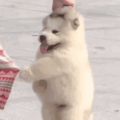 天行十九踏