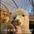 风见真夜中