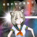 小夜dc