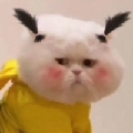 缇娜Tina丶