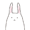 Rabbit每日爆料