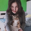 Evissa