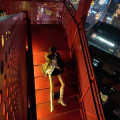 我喜欢你喜欢宠物