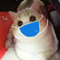 我是低调呀