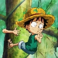 AllenTaki
