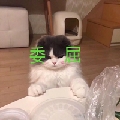 Siri宝贝呀