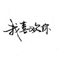 重生之盾