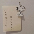 柚子酱9526