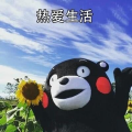 Linnnnn林子哥