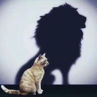 小杰杰要一直快乐下去