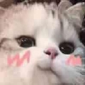 33戒不掉