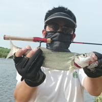 海南环岛路亚o半盏o