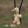 总有刁民想害恩