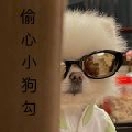 毕节千嬅