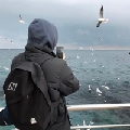 沉沉沉沉沉沉沦