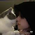 猫儿800