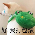 趁早2222222