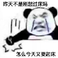 ntmdzsa