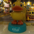 大表姐罗马直播间