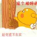 承诺永恒SML