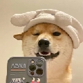 此情029