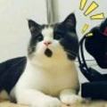 无天9