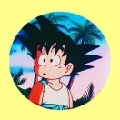 追思811