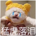 小柑橘G