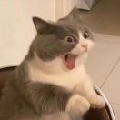 誧兮啊
