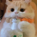 抱走萝莉儿qaq