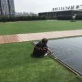穩(wěn)住寂寞靜看繁華