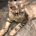 一坨小爆爆