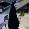 未知喵的警犬