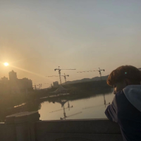 灡情空心是麋鹿