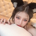 GT呆熊