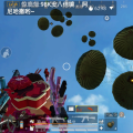 夏日甜心青柠