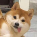 1荨1