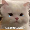 包zi嘎嘎猛