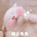 漫步146