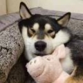 牵着了小祖宗