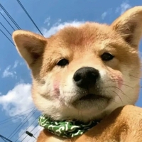 听闻电竞能撩妹