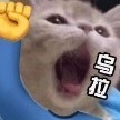 从小玩游戏的小刘