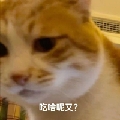 居耳耳
