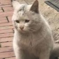 光怪陆离915