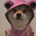 还是词穷了