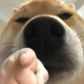 月影霜岚汒