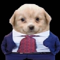 中东阿b